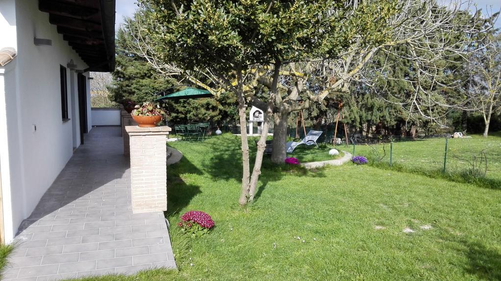 Il Piccolo Rifugio - L'Angoletto Palidoro Pokoj fotografie